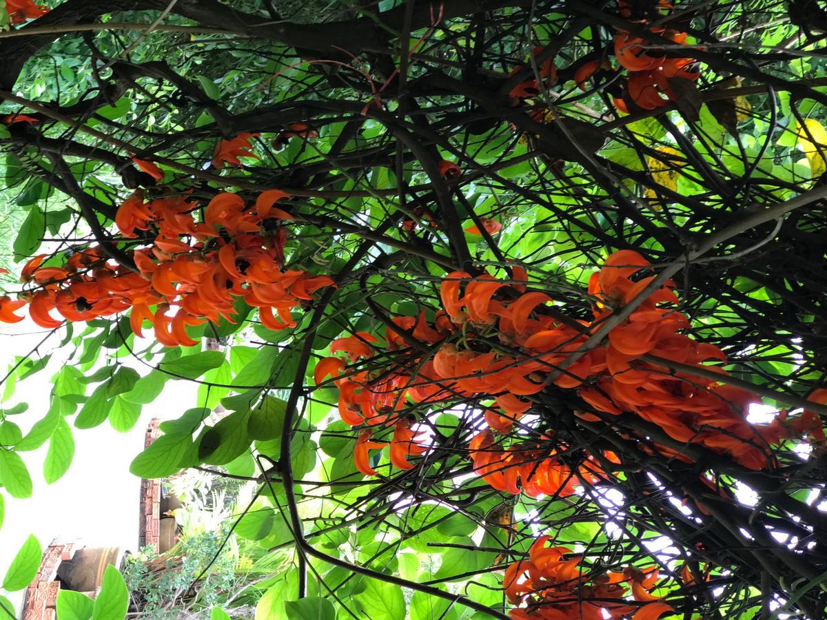 Chaiyo Resort Phuket Buitenkant foto